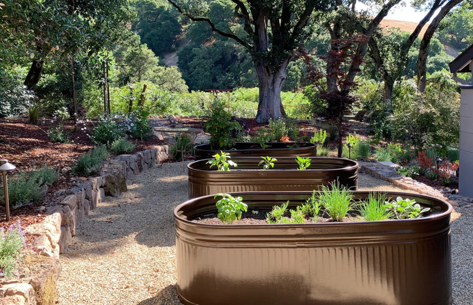 Raised garden beds with stone retaining walls and vineyard